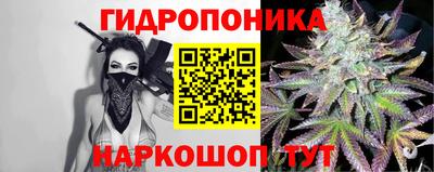 гидра Дубна