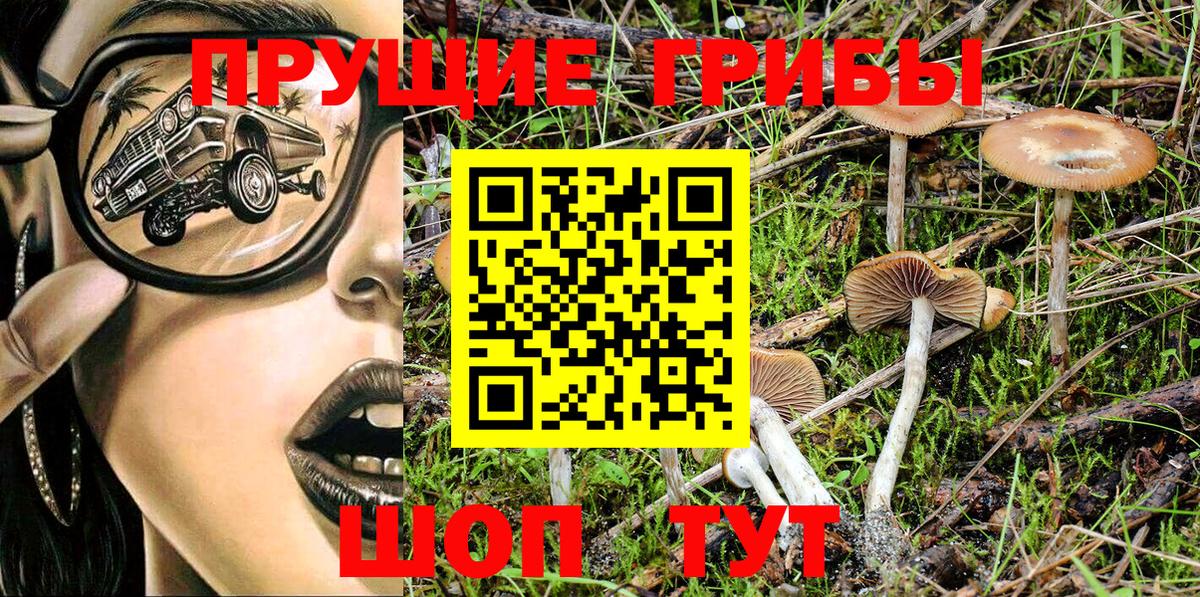 Псилоцибиновые грибы Magic Shrooms Магнитогорск