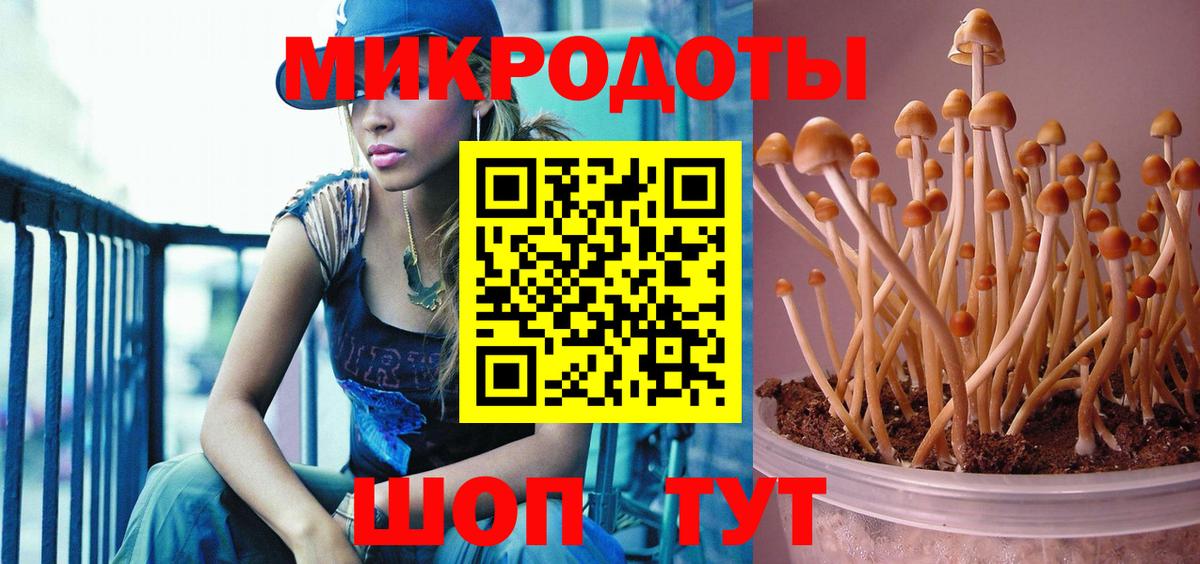 Псилоцибиновые грибы прущие грибы  Вход с VPN  Магнитогорск 